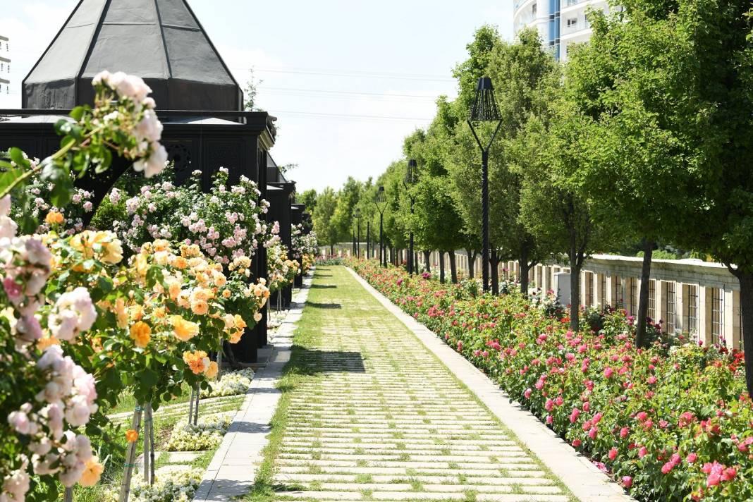 1,8 milyon çiçek, açtı: İşte göz kamaştıran Konya park ve caddeleri 16